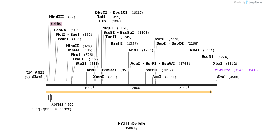 166060_map