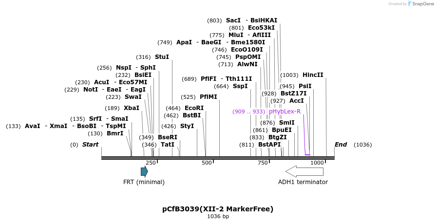 166066_map