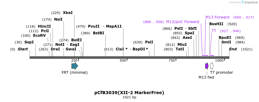166067_map