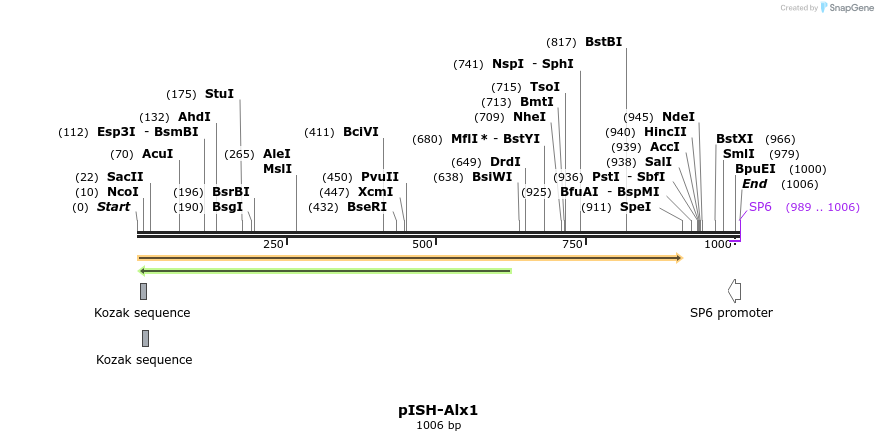 166068_map