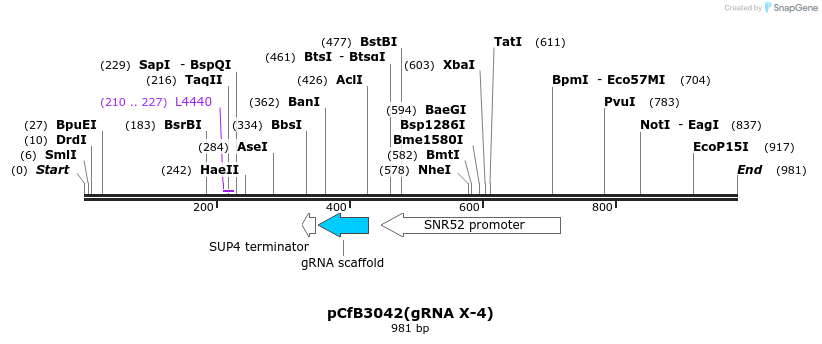 166070_map