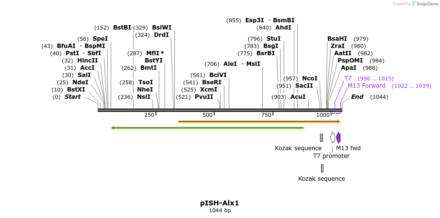166071_map
