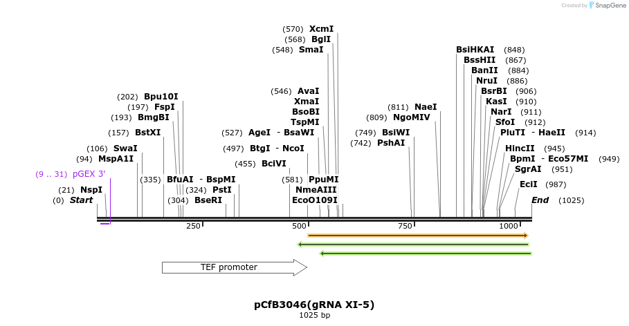 166073_map
