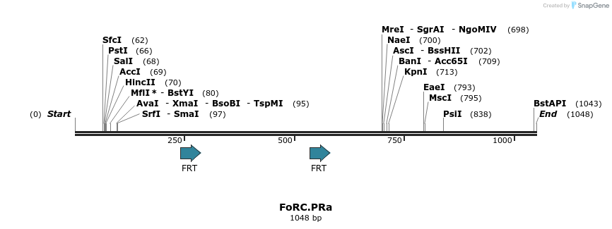 166075_map