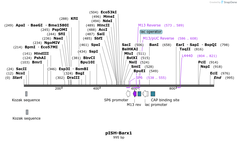 166080_map