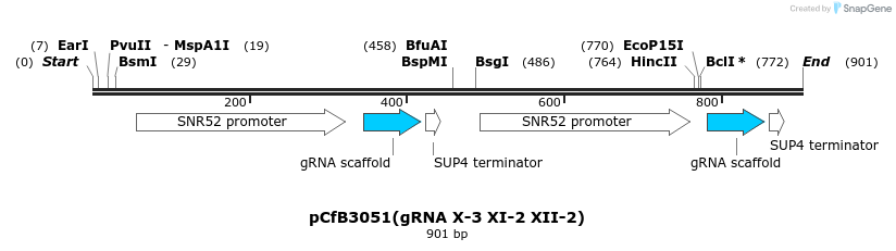 166083_map
