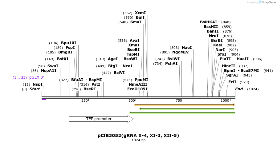 166086_map