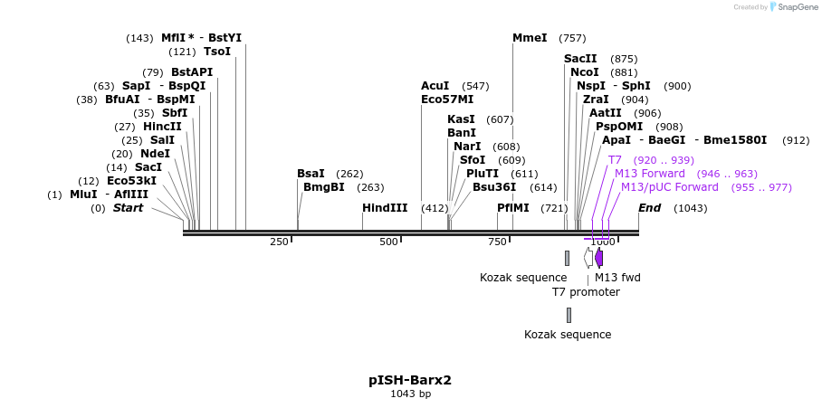 166090_map