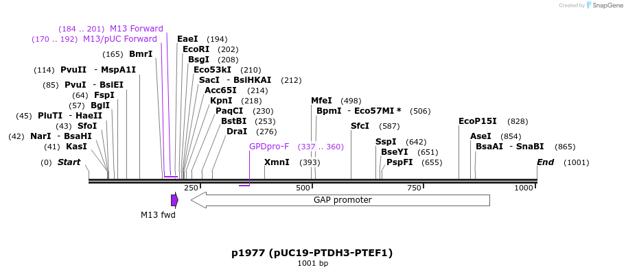 166096_map