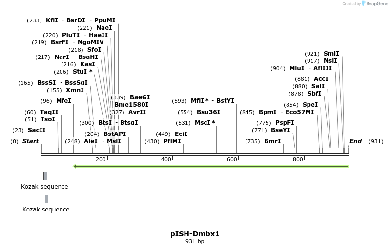 166097_map