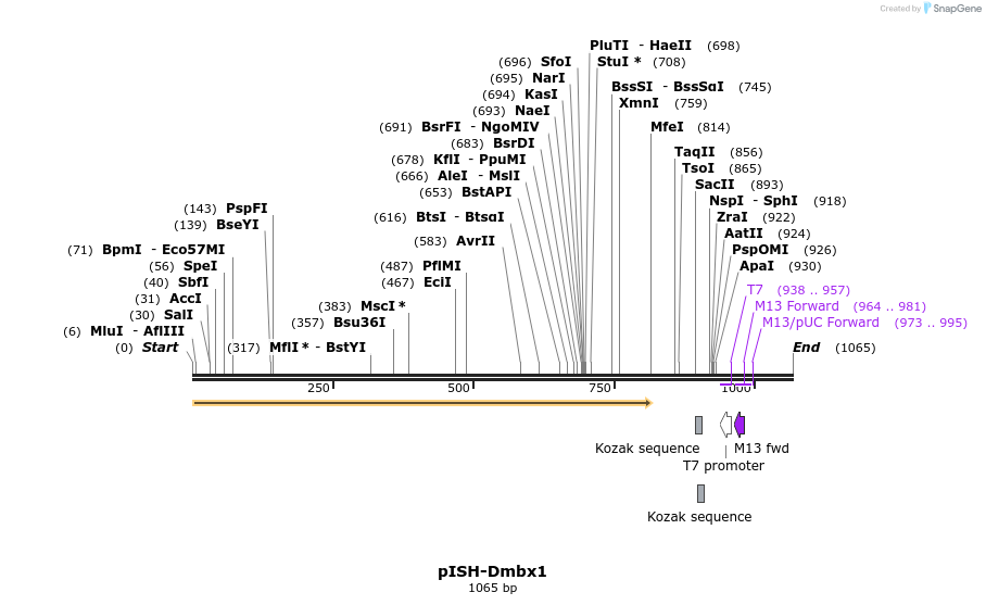 166101_map