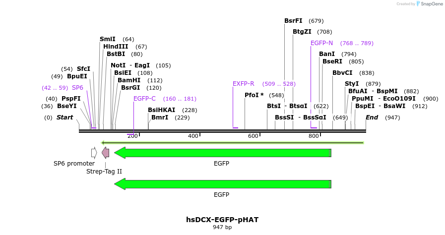 166103_map