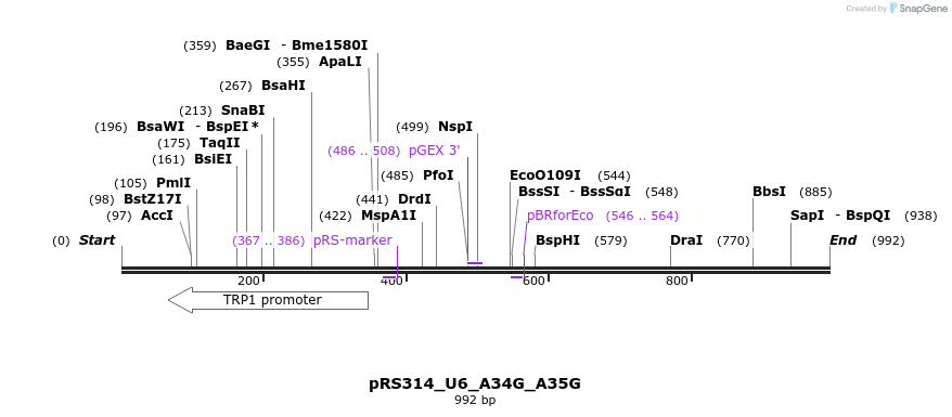 166107_map