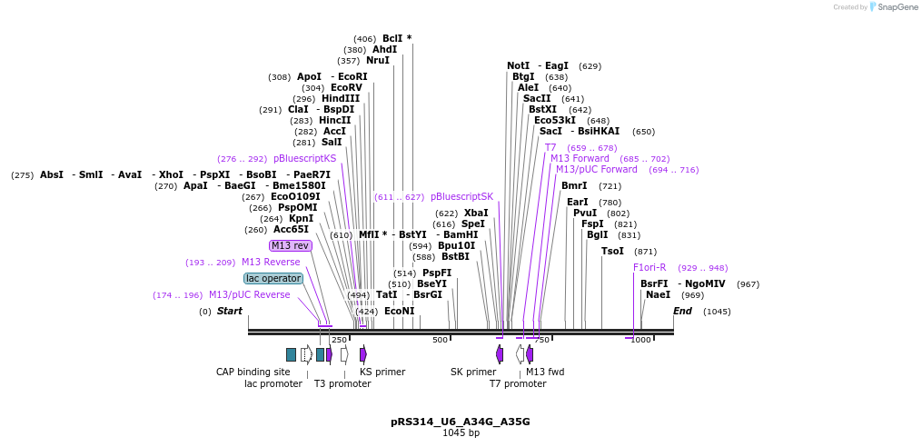 166108_map