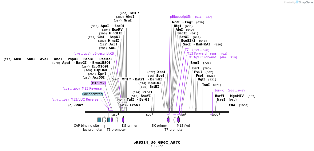 166112_map