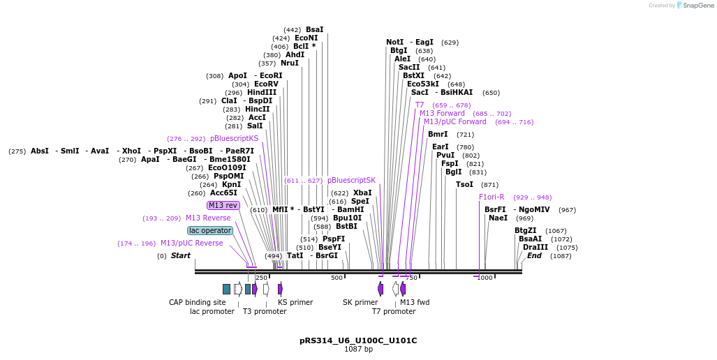 166114_map