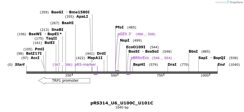 166115_map