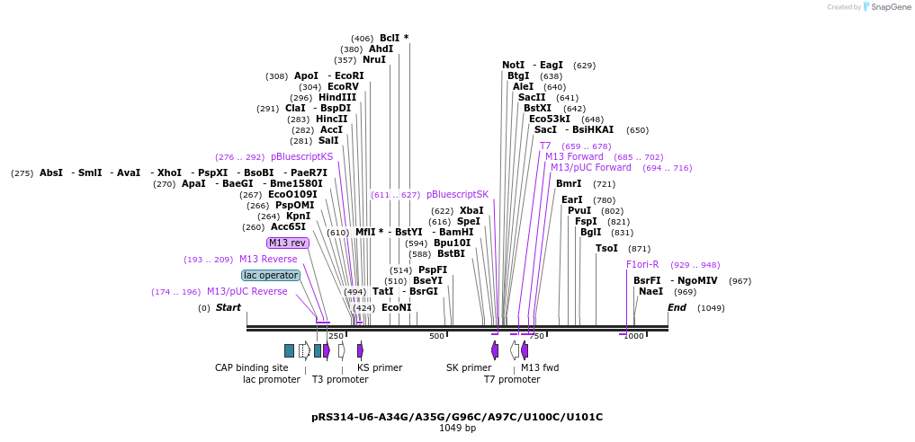 166120_map