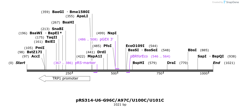 166124_map