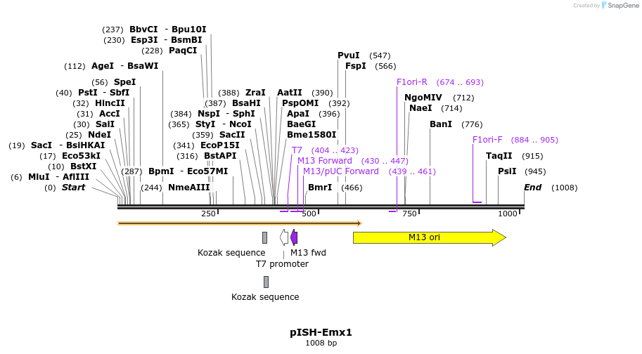 166136_map