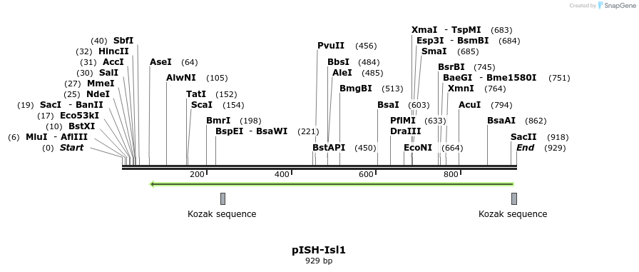 166147_map