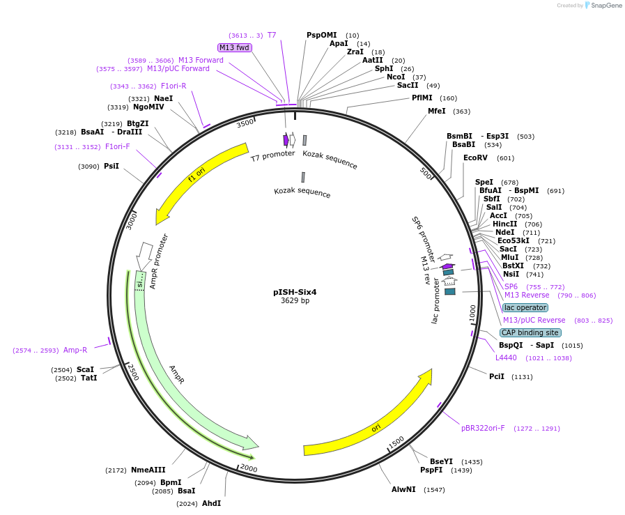 166202_map
