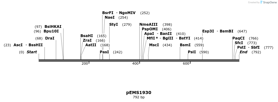 166203_map