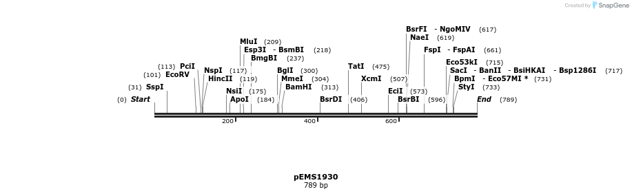 166204_map