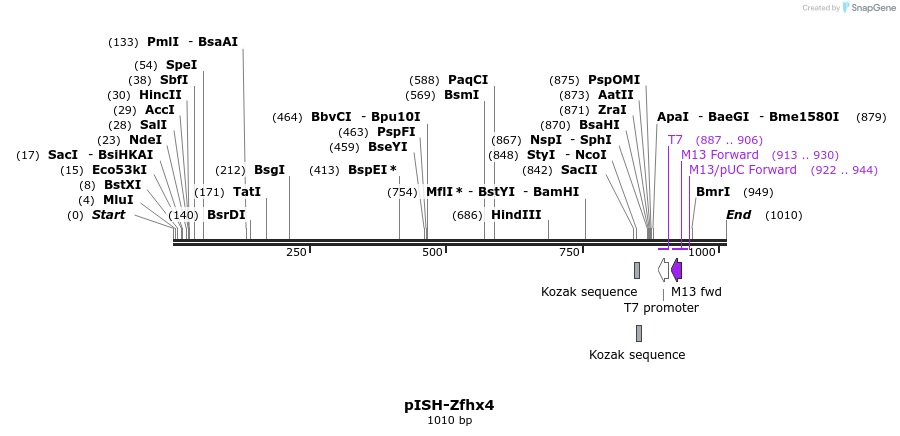 166206_map