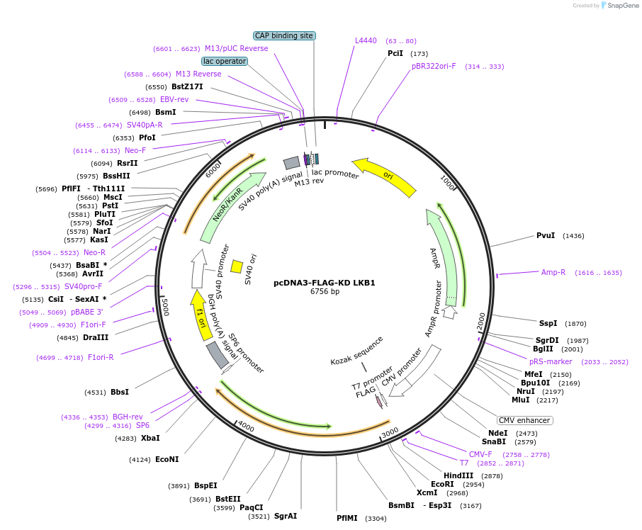 166209_map