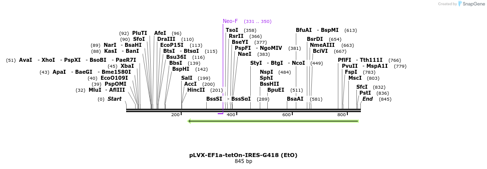 166217_map
