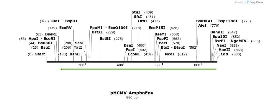 166222_map