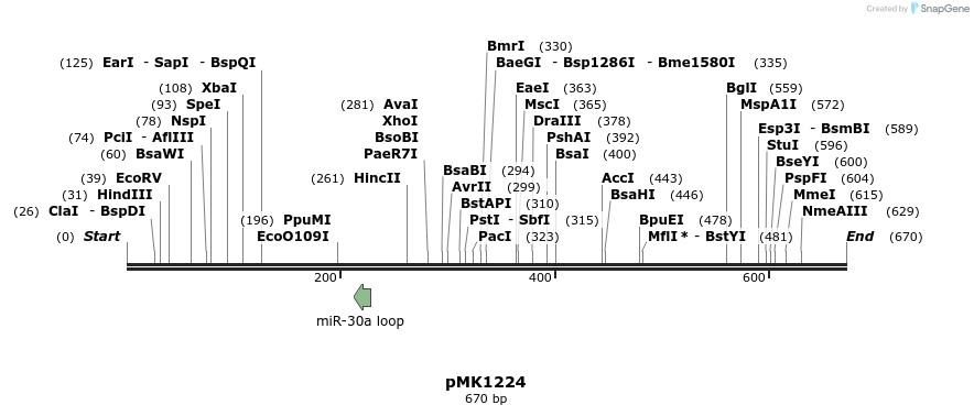 166232_map