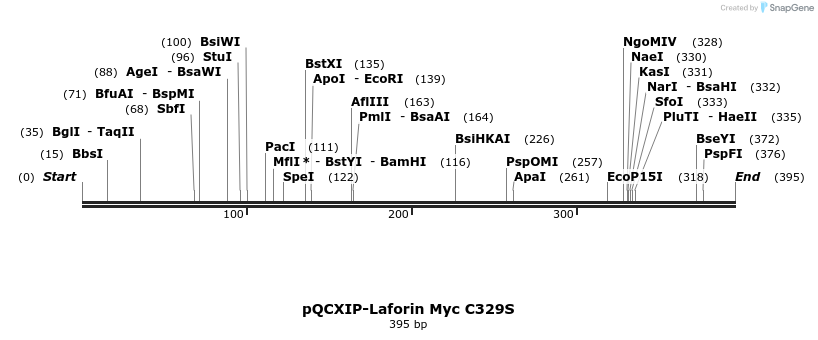 166266_map