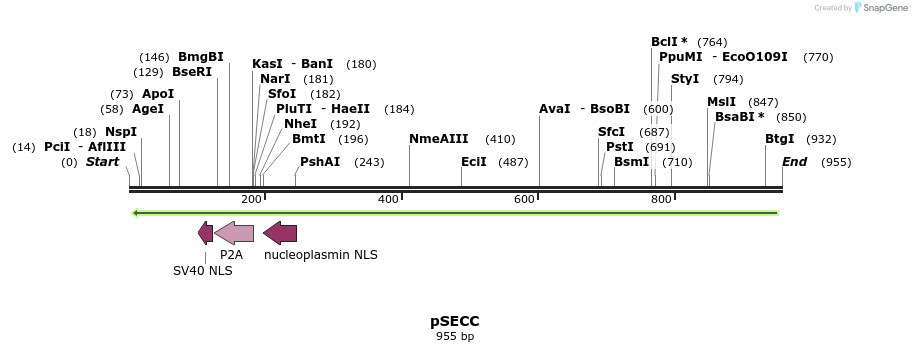 166318_map