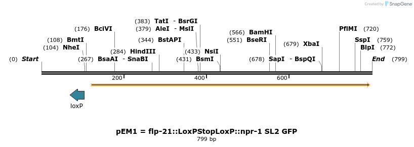 166337_map
