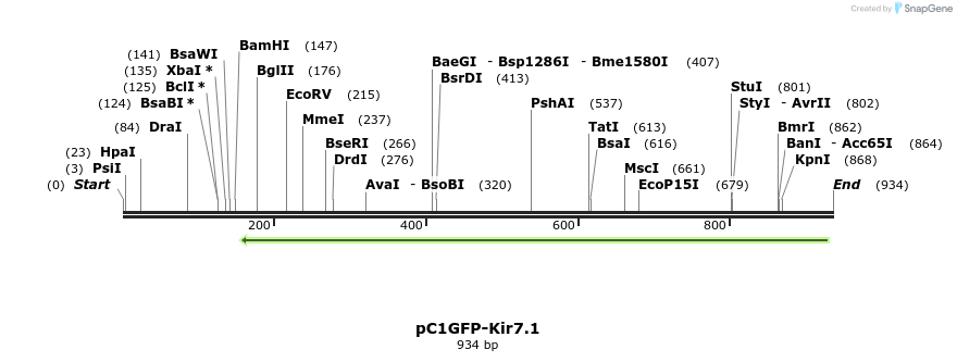 166361_map