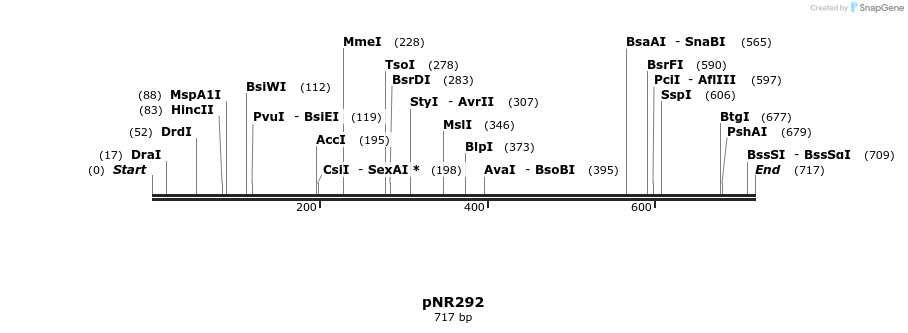 166401_map