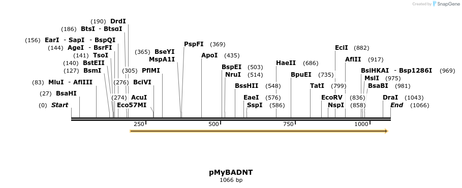 166449_map