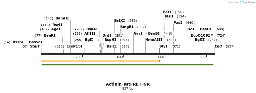 166481_map