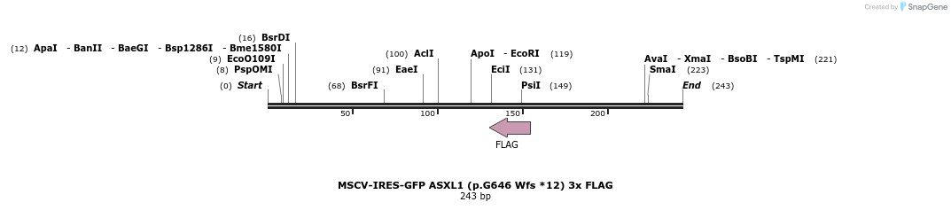166487_map