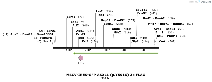 166490_map
