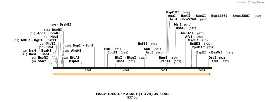 166492_map