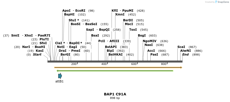 166493_map