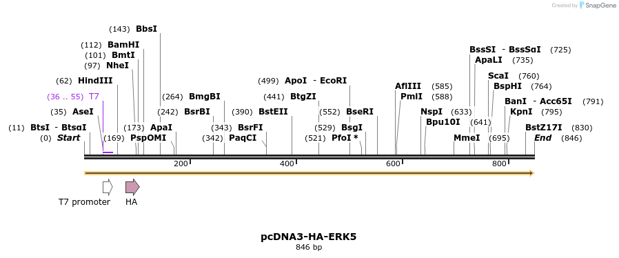 166501_map
