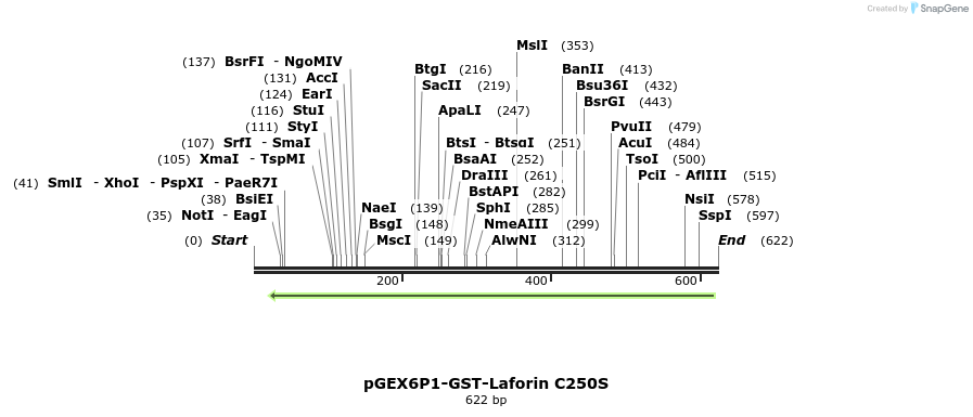 166502_map