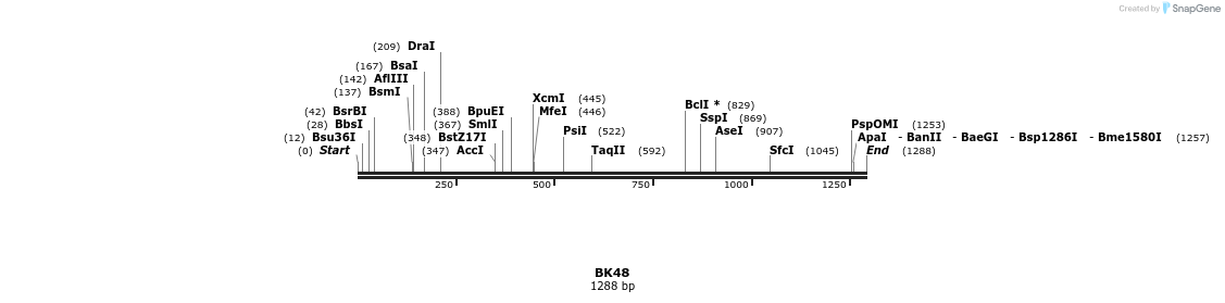 16651_map