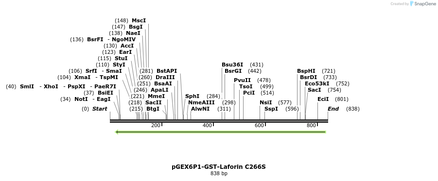 166514_map