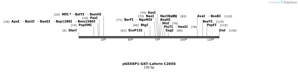 166515_map
