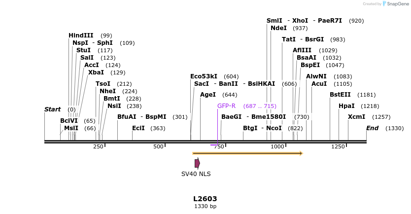 16652_map
